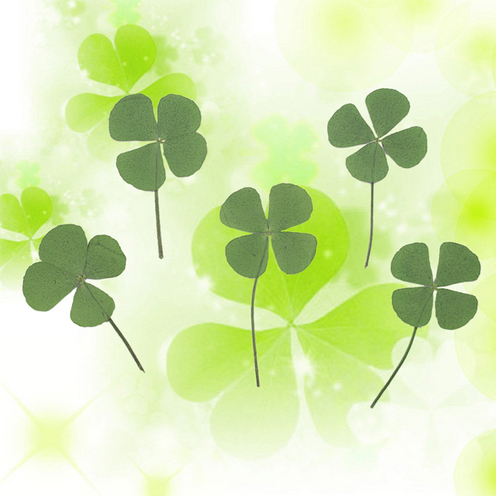 12Pcs Four Leaf Clover Dried C - Resin Craft Material review and price