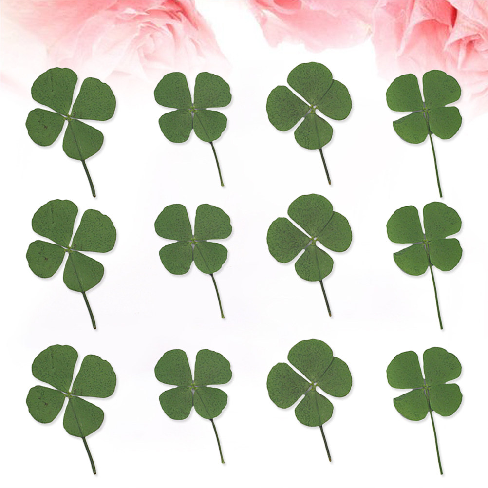 12Pcs Four Leaf Clover Dried C - Resin Craft Material review and price